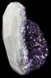 Dark Purple Amethyst Cut Base Cluster - Uruguay #36497-2